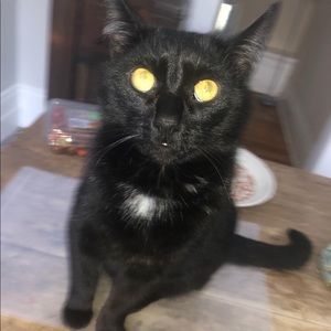 Meet your Posher, Noah